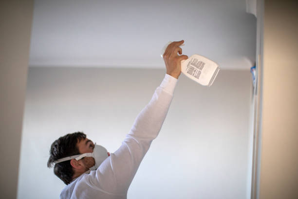 Best Home Mold Removal  in Novi, MI